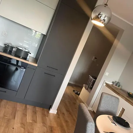 Apartament Nowoczesny W Centrum Torunia/Podziemny Parking I Winda Exterior photo